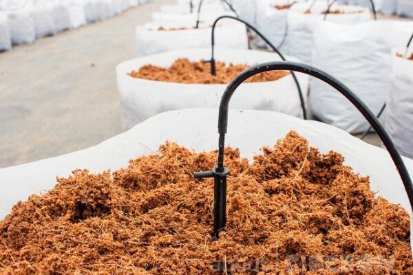 fungsi sabut kelapa sebagai sumber energi