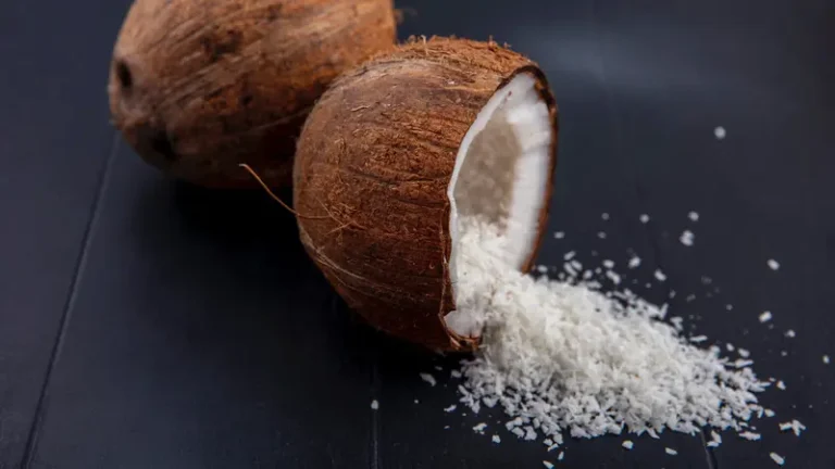 Pengolahan limbah kelapa tua