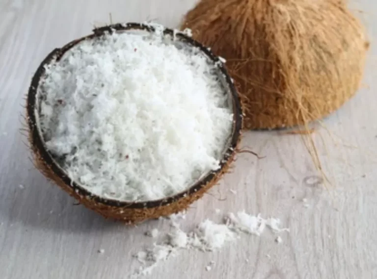 Inovasi Produk Olahan Kelapa