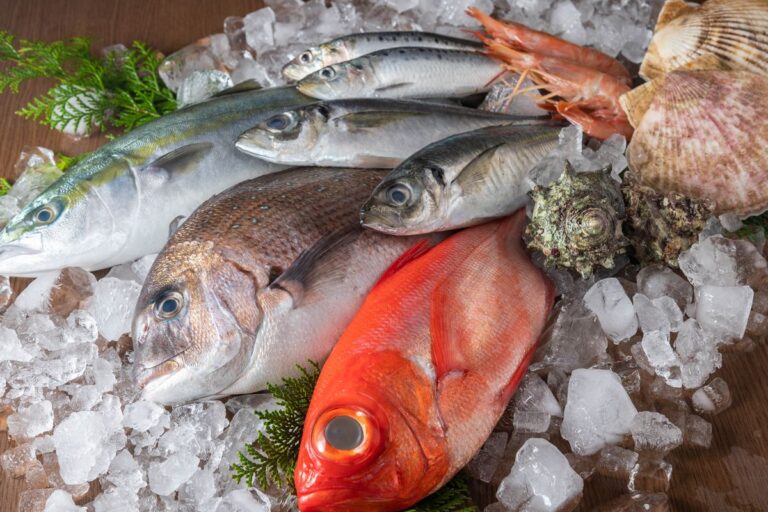 Pengawetan Ikan Laut Solusi Dapur Menjadi Hemat