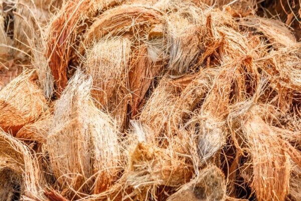 produk turunan dari sabut kelapa