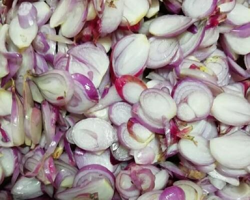 Peralatan Perajang Bawang Modern