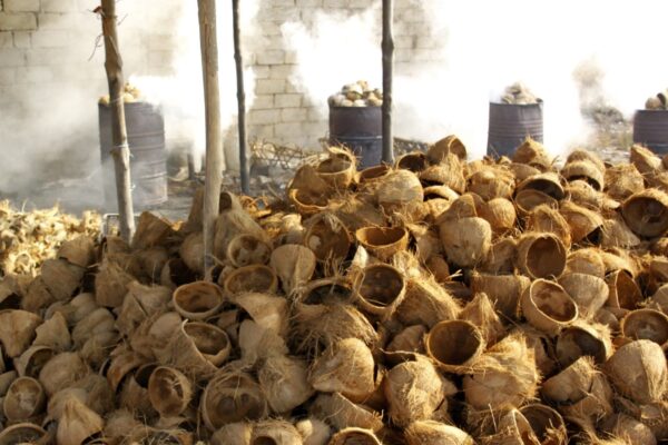 Inovasi Limbah Sabut Kelapa Menjadi Produk Bernilai