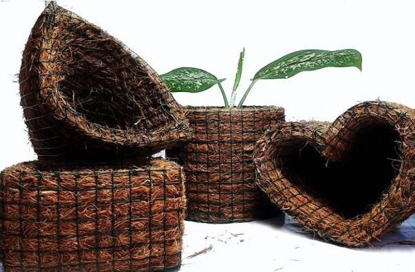 Sabut Kelapa sebagai Bahan Ajar Inovatif di Politeknik