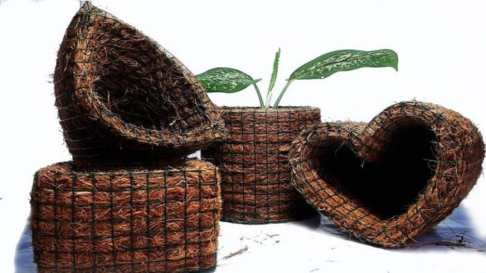 Sabut Kelapa sebagai Bahan Ajar Inovatif di Politeknik