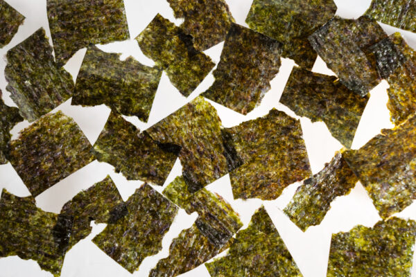 Mesin Produksi Rumput Laut Untuk Usaha mesin produksi rumput laut untuk usaha