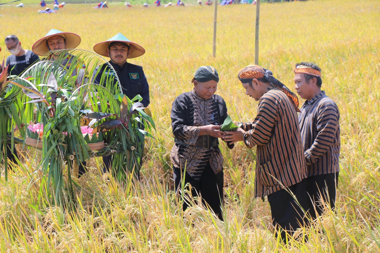 kemitraan sekolah dengan petani lokal