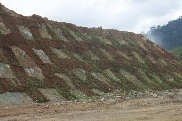 Cocomesh dalam Proyek Net Zero Emission cocomesh dalam proyek net zero emission