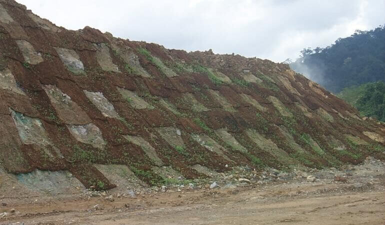 cocomesh dalam proyek net zero emission