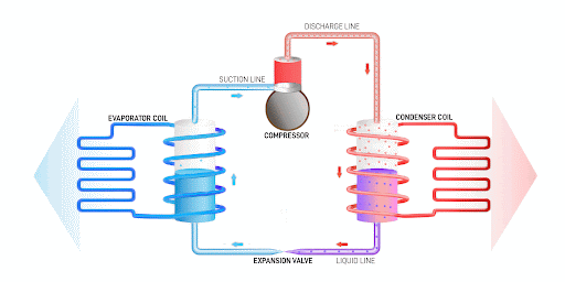 Sistem Kerja Efisien Berbasis Gizi Adaptif Modern
