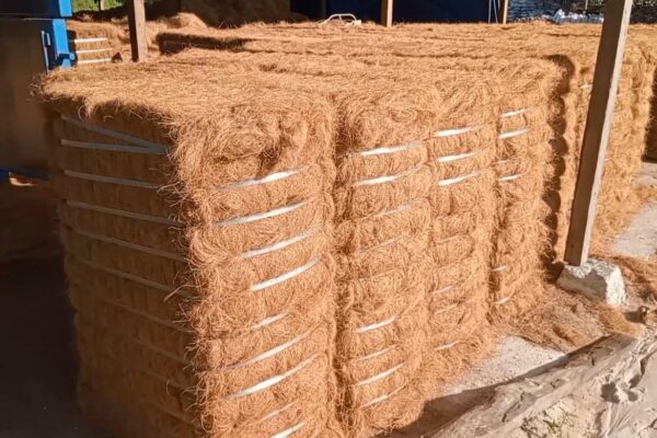 Peluang Usaha Berbasis Sabut Kelapa