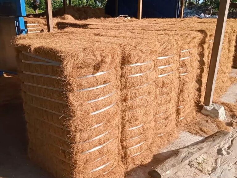Peluang Usaha Berbasis Sabut Kelapa