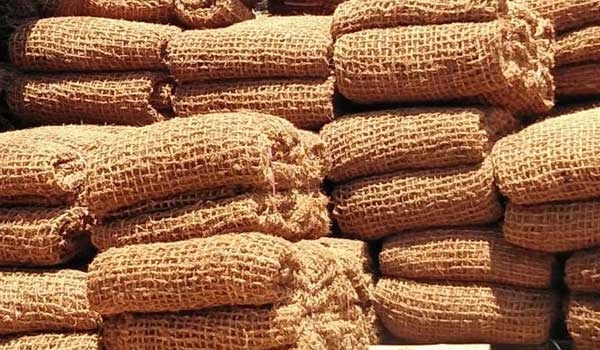 pengertian cocomesh dan manfaatnya