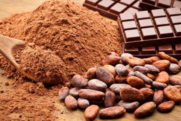 usaha coklat dari bahan kakao