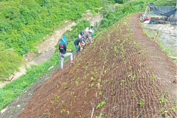 Cocomesh sabut kelapa untuk stabilisasi lereng