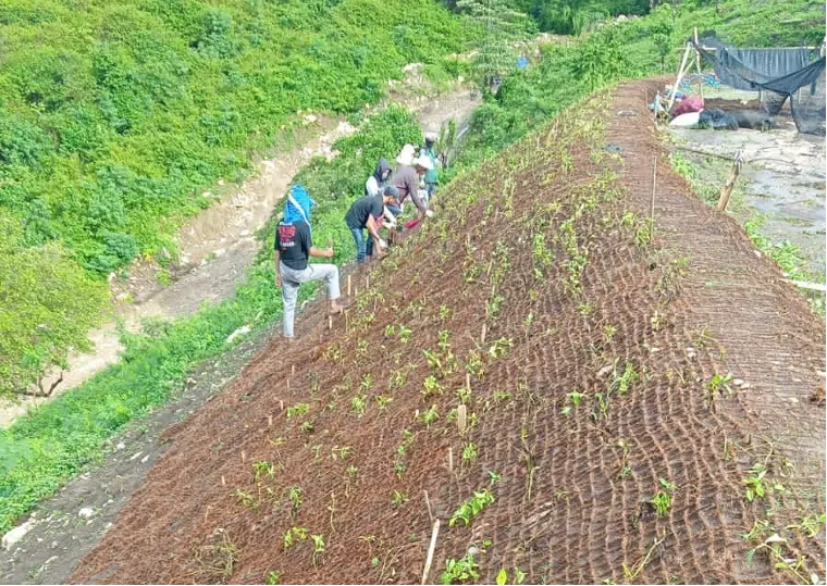 Cocomesh sabut kelapa untuk stabilisasi lereng