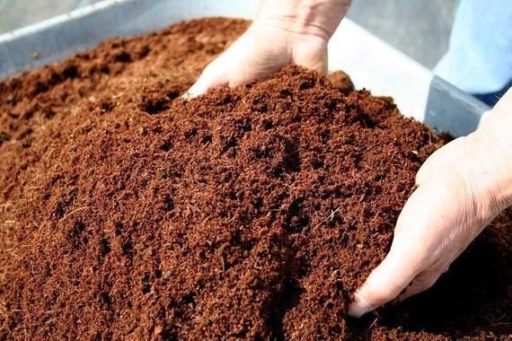 Cara Produksi Cocopeat Skala Usaha