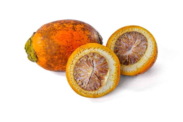 Mesin Pembelah Pinang Untuk Usaha