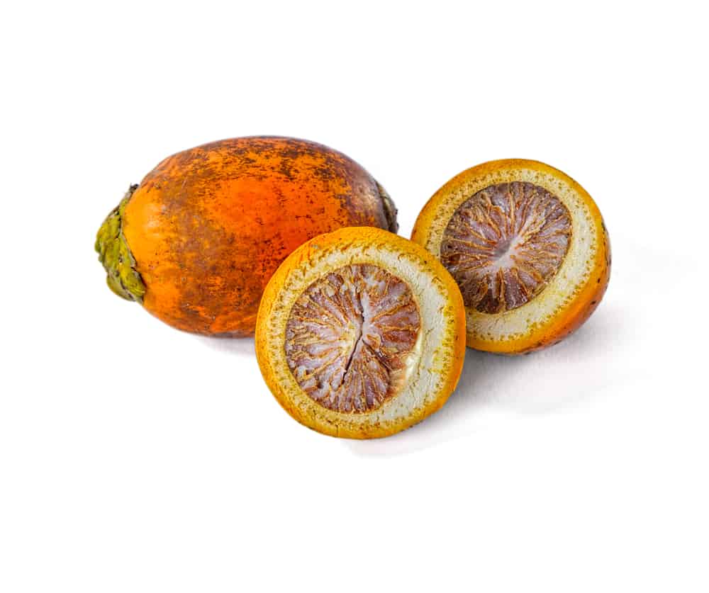 Mesin Pembelah Pinang Untuk Usaha