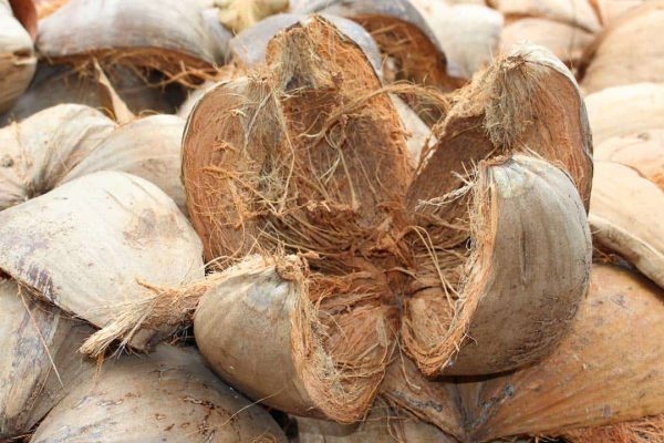 Cara Meningkatkan Nilai Jual Sabut Kelapa