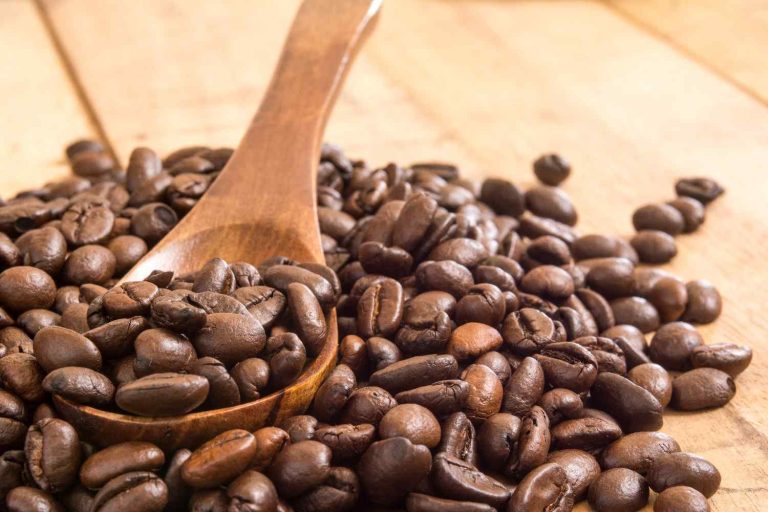 biji kopi
