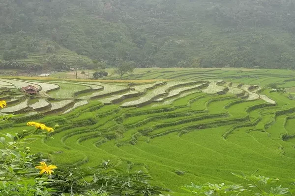 manajemen-air-pada-lahan-kering