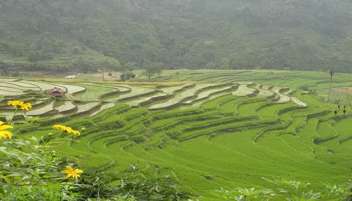 manajemen-air-pada-lahan-kering